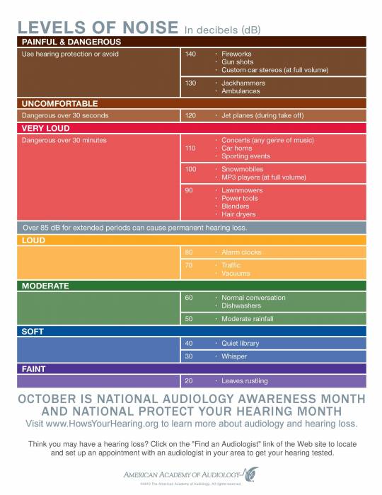 noisechart_poster.jpg noisechart_poster.jpg